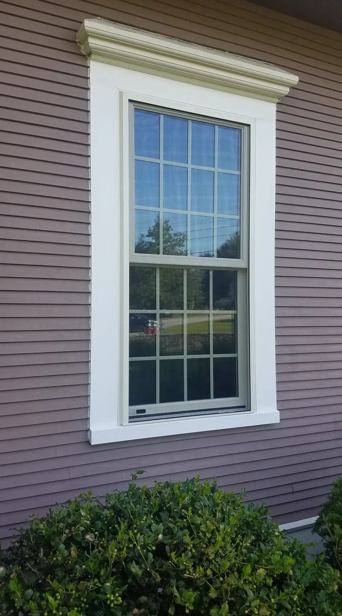 White-trimmed window on a mauve clapboard wall with shrubs below.