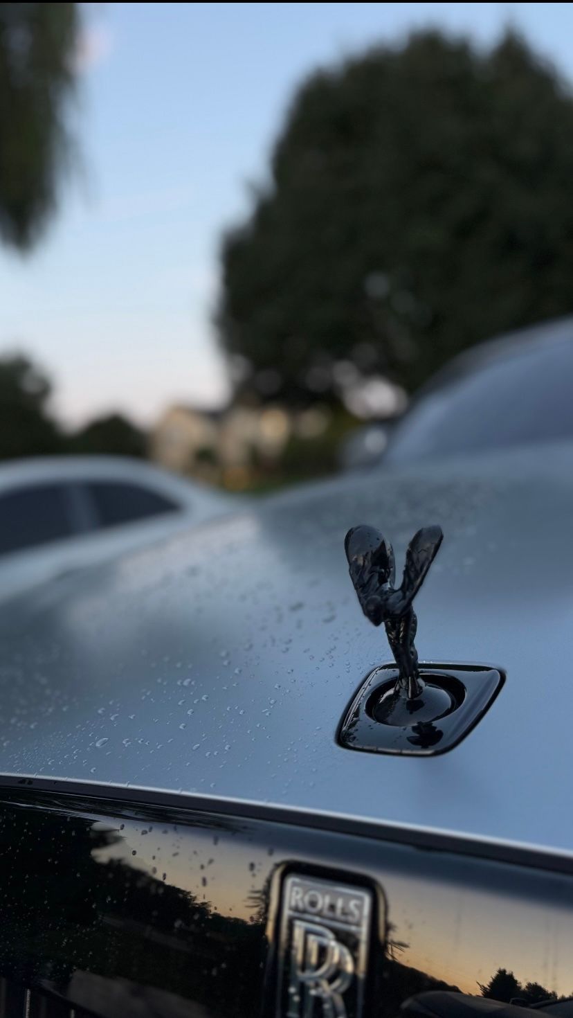 Close-up of a Rolls-Royce hood ornament on a silver car, with a blurred outdoor background