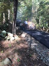 A group of people are working on a road in the woods.