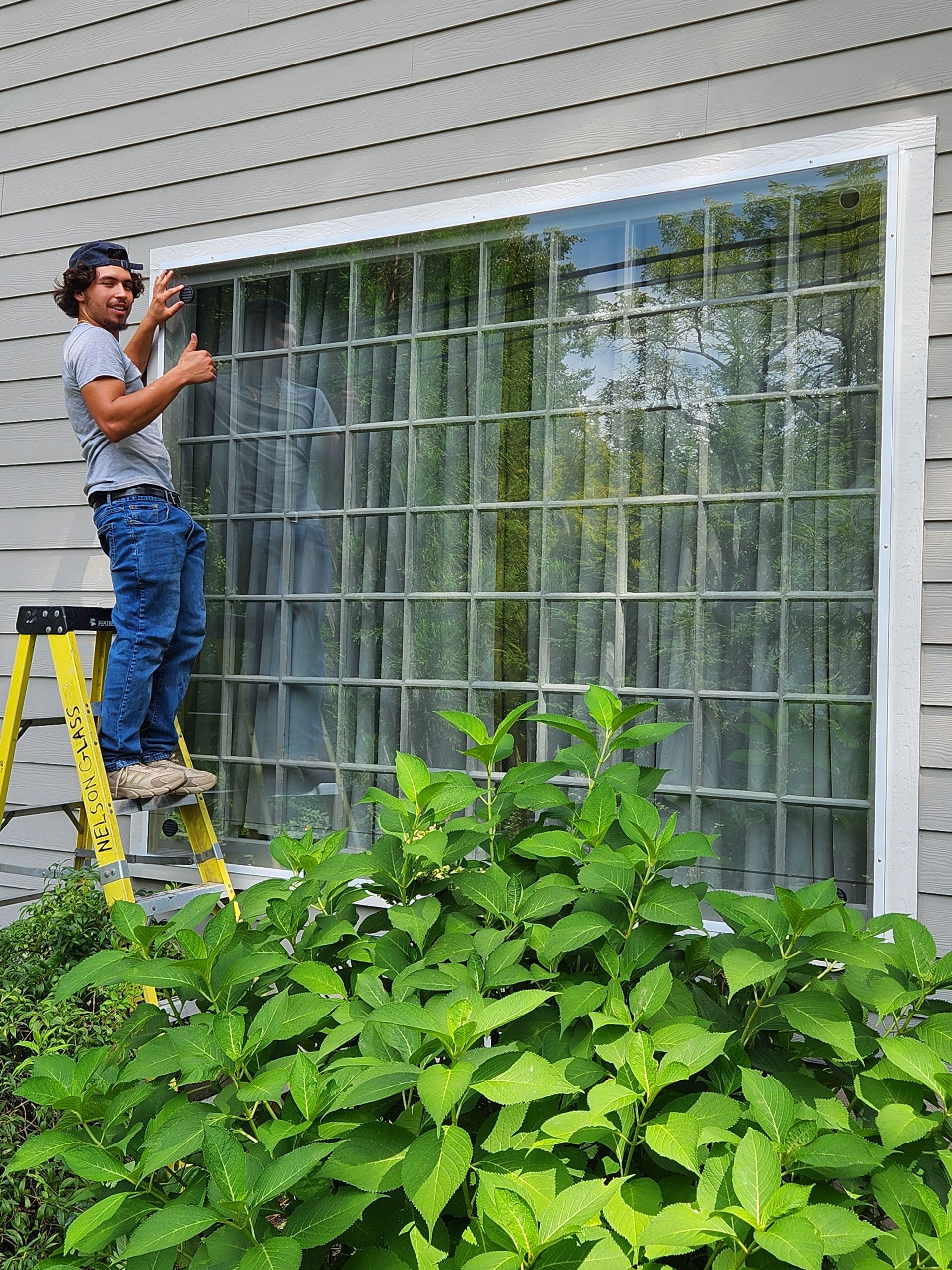 Person cleaning a large window beside a house, standing on a yellow ladder behind green bushes.