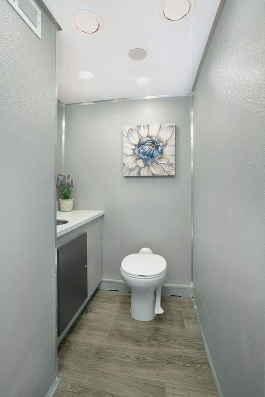 Narrow, modern restroom with gray walls, light wood-look floor, and a toilet.