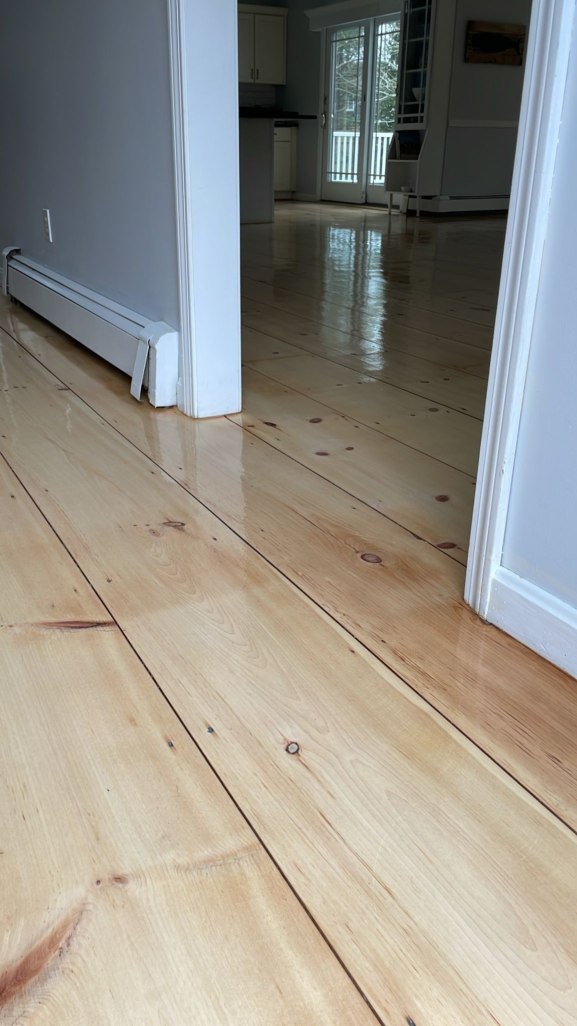 Wood floor in a room, reflecting light. White door frames and gray walls surround the opening.