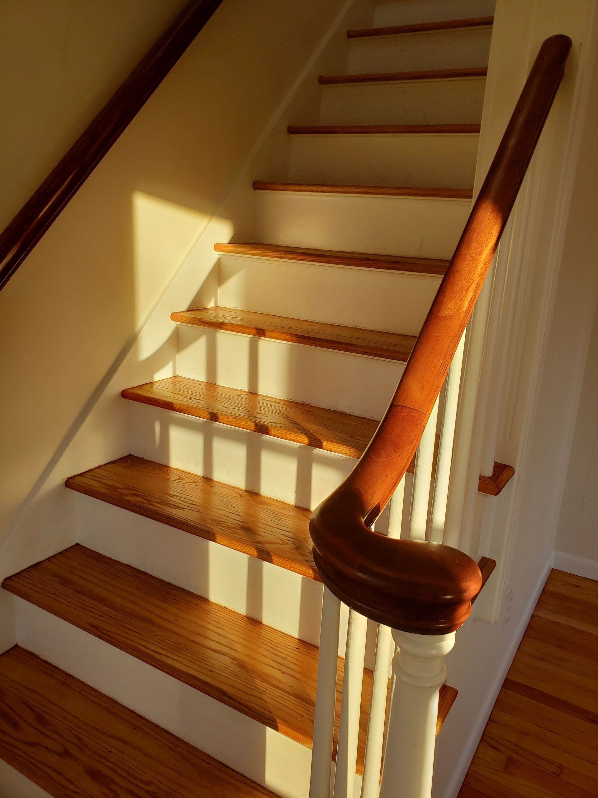 Wooden staircase with white risers and brown handrails. Sunlight streams across the steps.