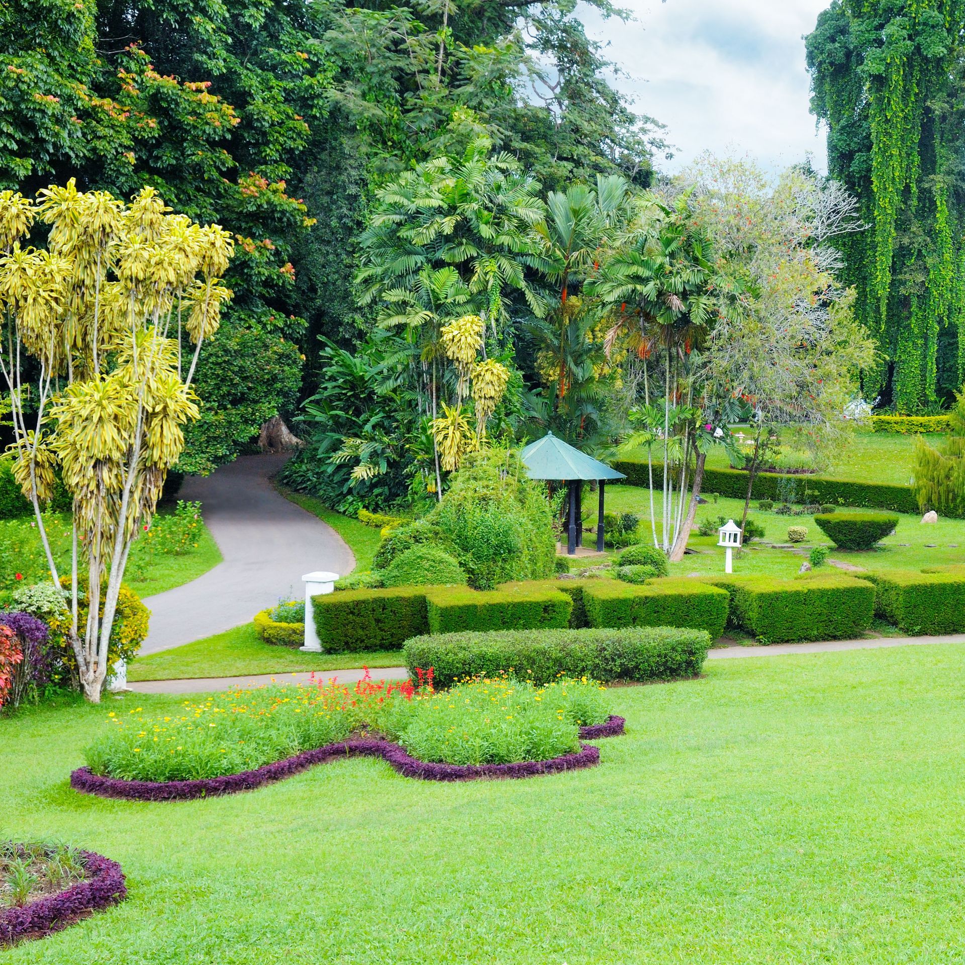 Lush green garden with manicured hedges, winding path, and tall trees under a light sky