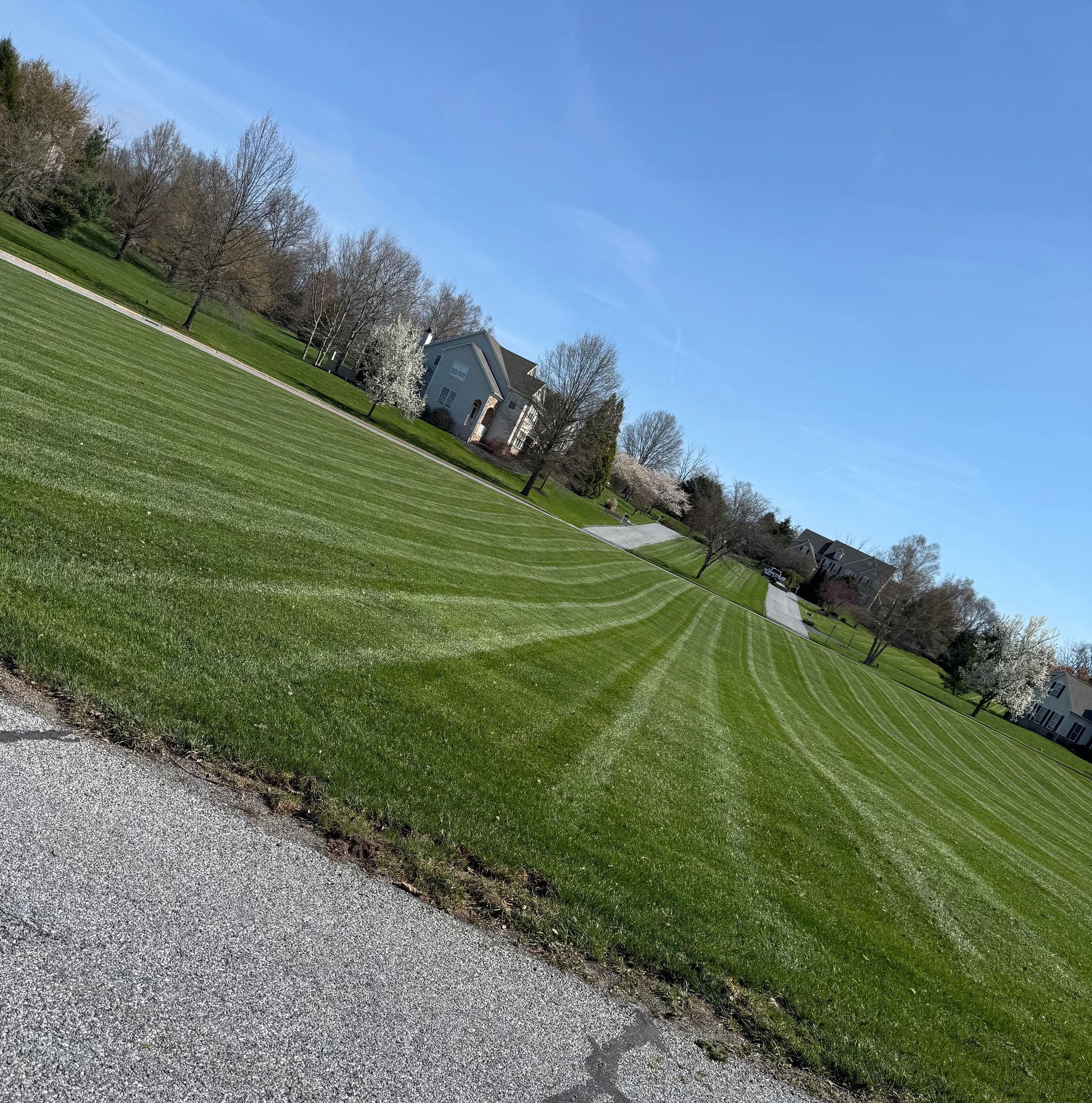 Curved green lawn with mowing stripes beside a gravel path under a clear blue sky