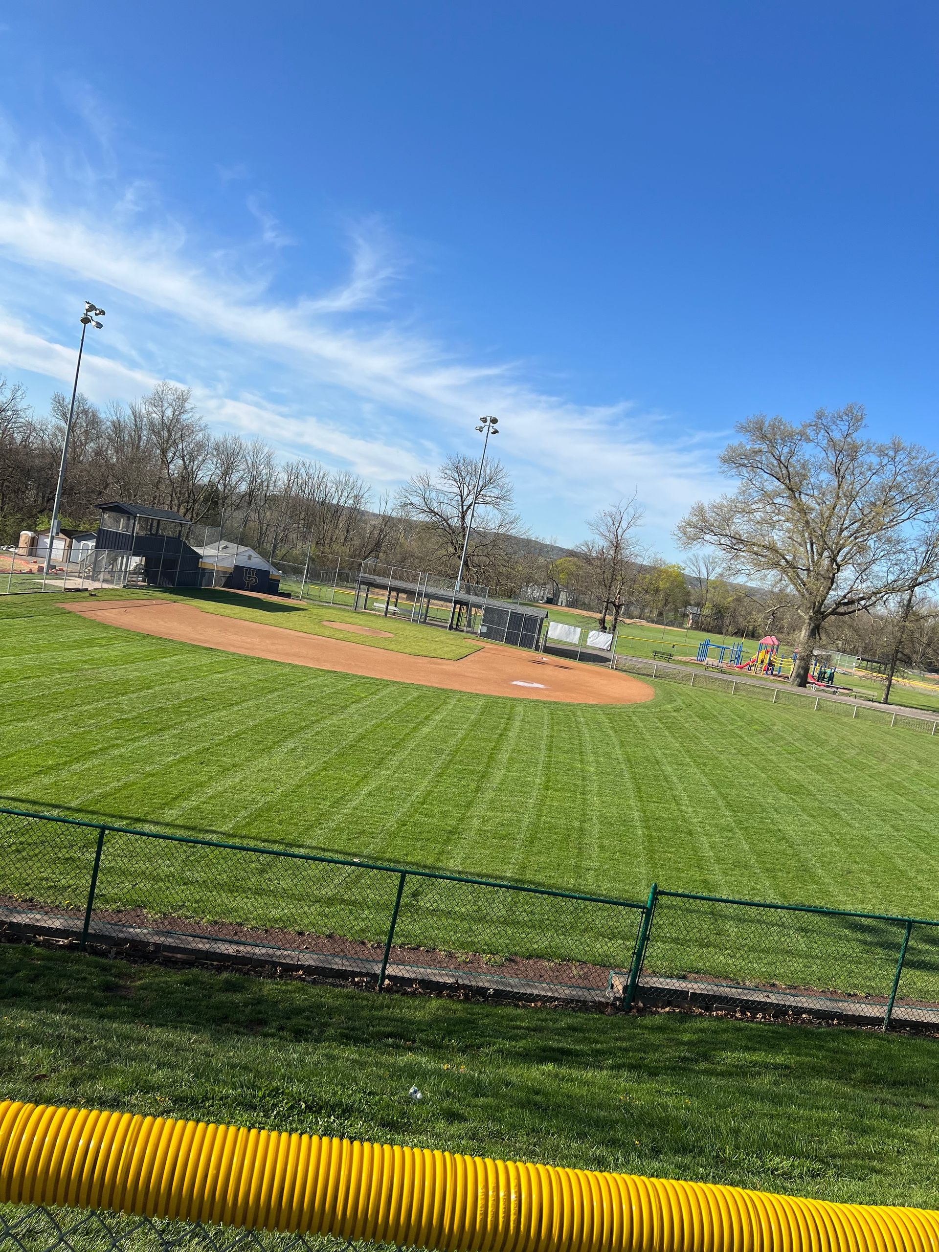 Baseball field with green grass, dirt infield, and blue sky on a sunny day