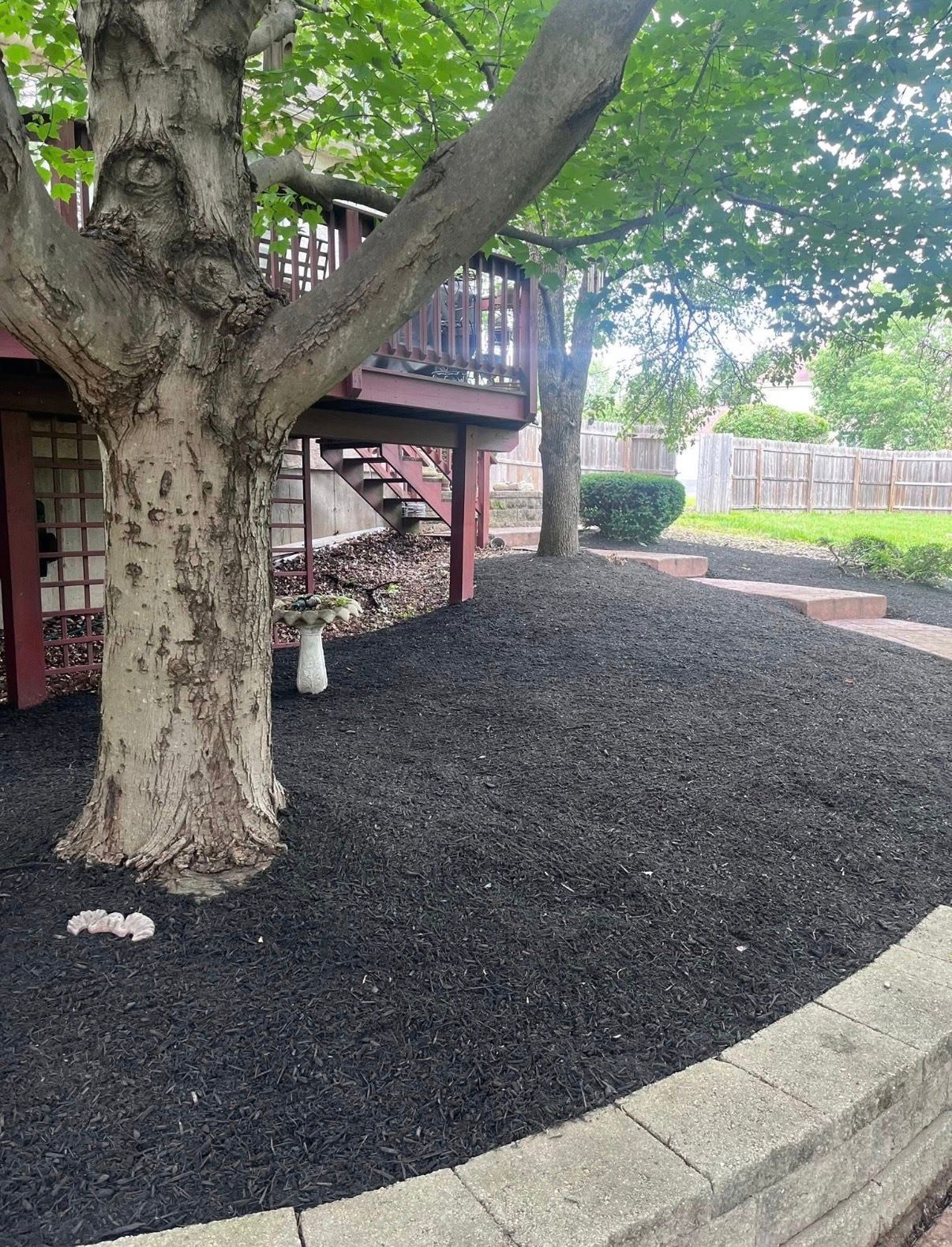 Large tree in a mulched yard beside a wooden deck and stone border, with a sidewalk and fence in the background