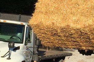 Wheat straw delivery