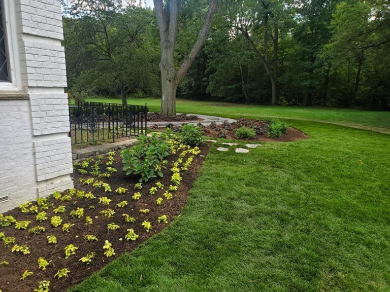 A white brick building corner with a newly landscaped garden bed of small yellow-green plants next to a grassy lawn.
