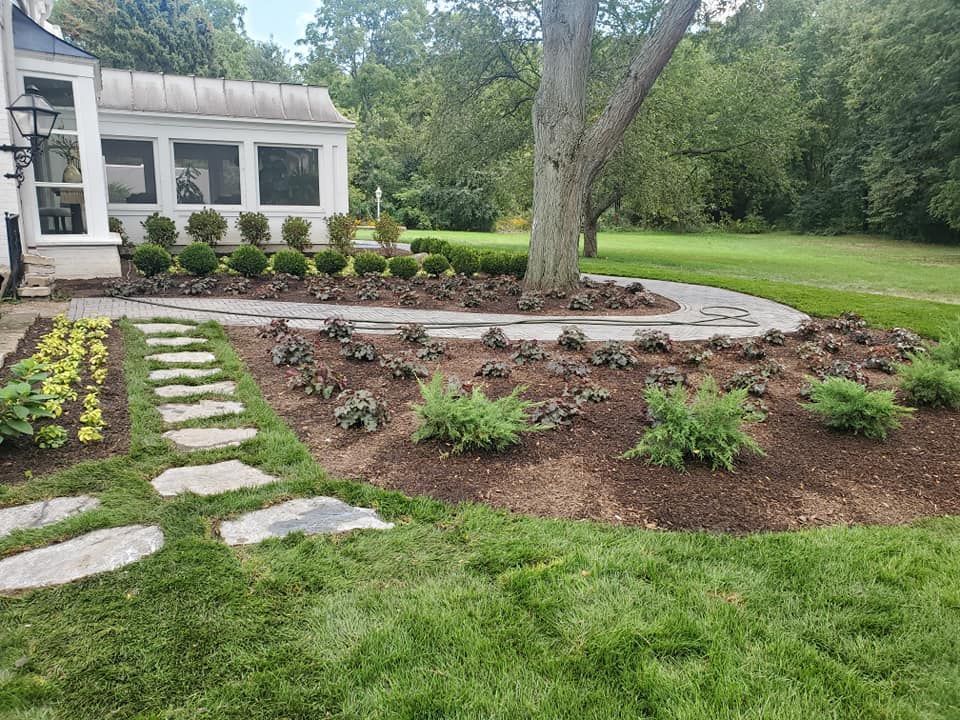 A stone pathway leads through a mulched garden bed with small shrubs and a large tree in front of a white house.