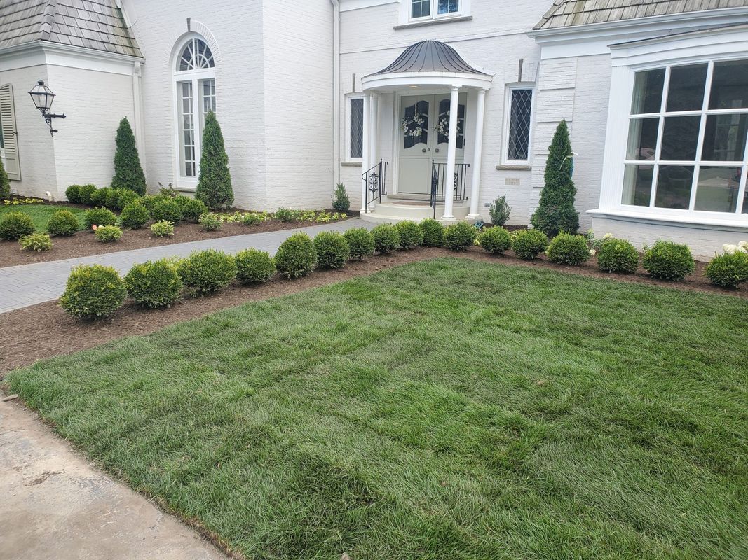 A white residential house with a green lawn and neat shrubbery lining the front walkway.