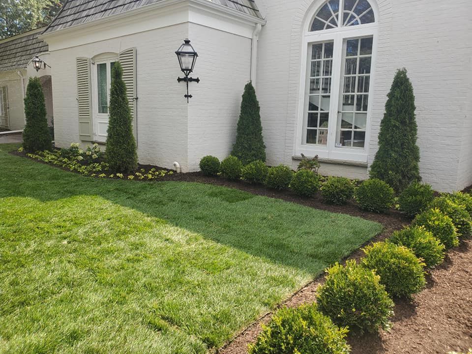 A white brick house with a newly laid rectangular patch of grass in the lawn and neatly trimmed bushes along the foundation.