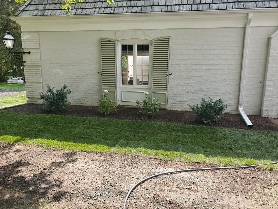 A light-colored brick house exterior with sage green shutters around a window, set above a landscaped mulch bed and lawn.