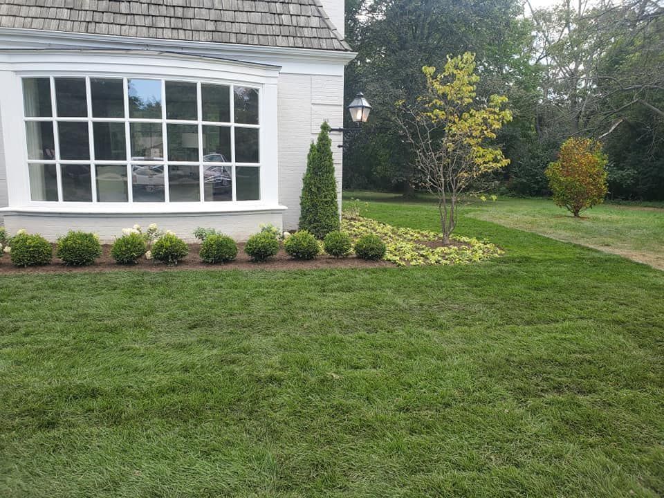 A white house exterior features a large bay window, manicured shrubs, and a lush green lawn on a sunny day.