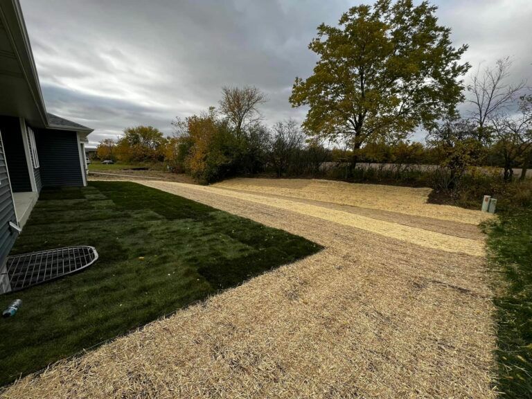 A residential yard under a cloudy sky, featuring a section of fresh green sod alongside a straw-covered seeded area.