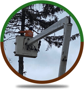 Tree Service | Rockford, IL | ASAP Tree Pros | 815-519-0892
