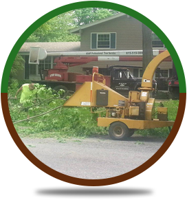 Tree Removal | Rockford, IL | ASAP Tree Pros | 815-519-0892