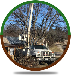 Tree Trimming | Rockford, IL | ASAP Tree Pros | 815-519-0892