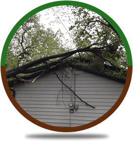 Emergency Storm Work | Rockford, IL | ASAP Tree Pros | 815-519-0892