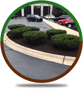 Landscaping | Rockford, IL | ASAP Tree Pros | 815-519-0892