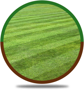 Lawn Maintenance | Rockford, IL | ASAP Tree Pros | 815-519-0892