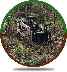 Tree Trimming | Rockford, IL | ASAP Tree Pros | 815-519-0892