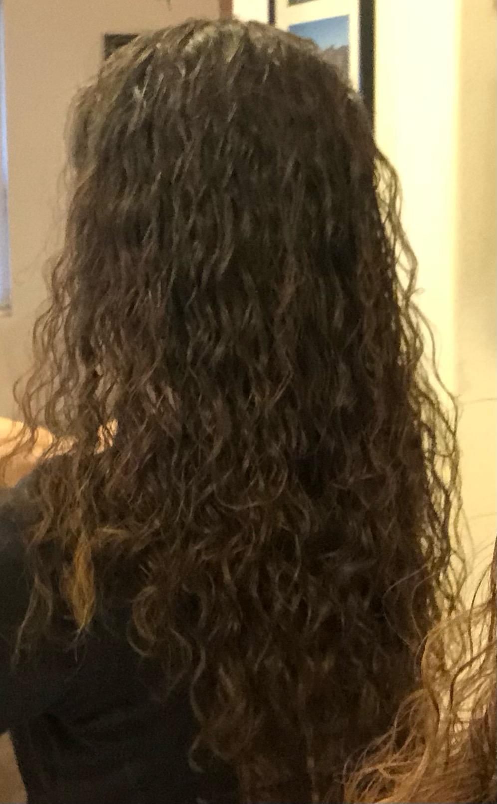 The back of a woman 's head with long curly hair.