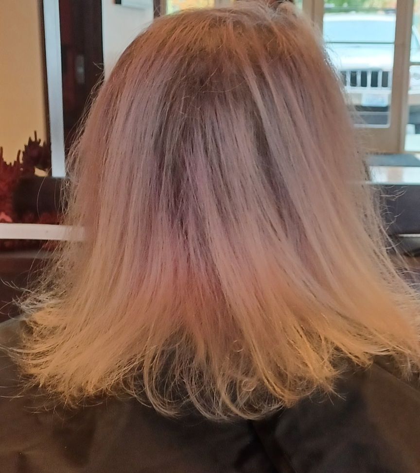 The back of a woman 's head with long blonde hair.