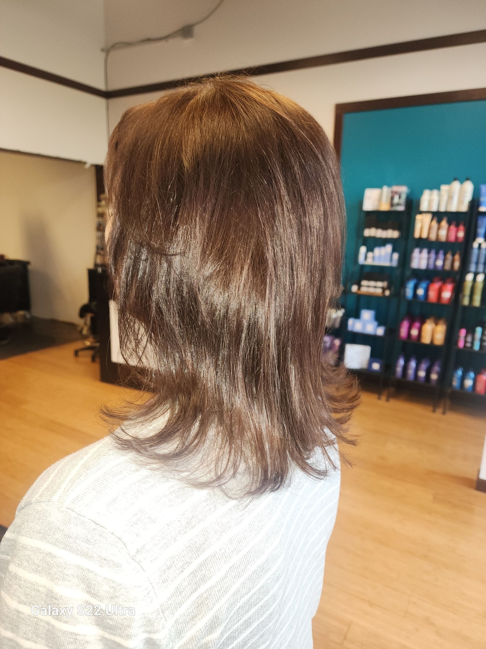 The back of a woman 's head is shown in a salon