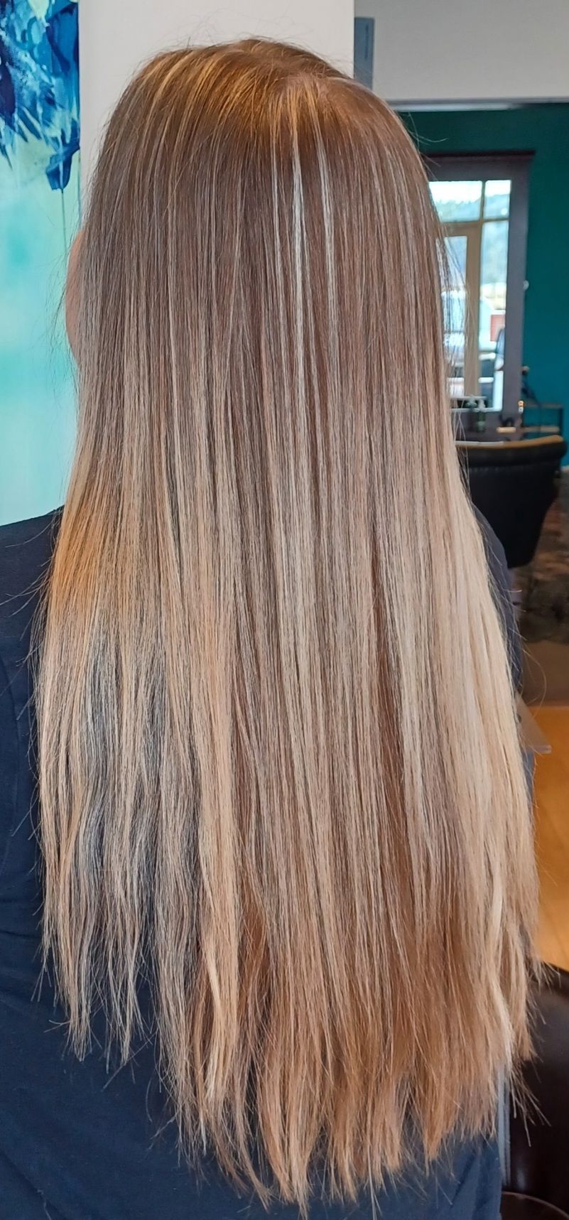 The back of a woman 's head with long hair.