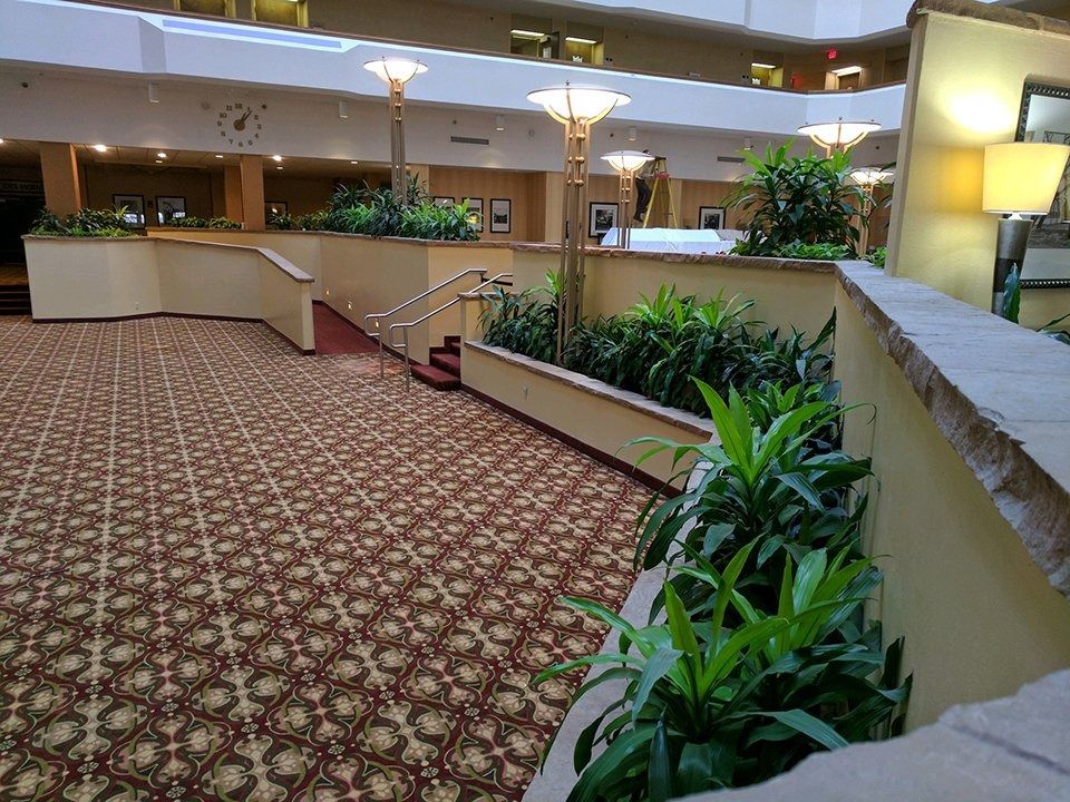 Hotel atrium with patterned carpet, indoor plants, and curved beige railings on multiple levels
