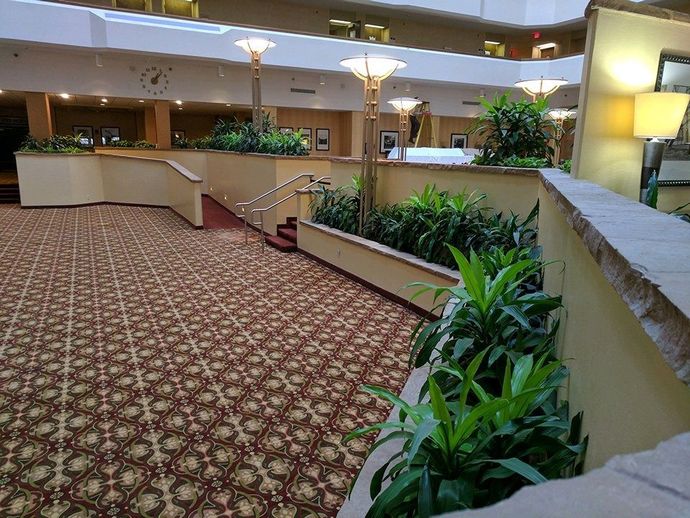 Hotel lobby with patterned carpet, beige railings, and indoor plants under warm lighting