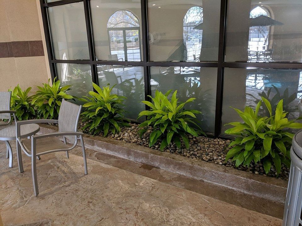 Patio with metal chairs, green potted plants, and a large windowed wall outdoors