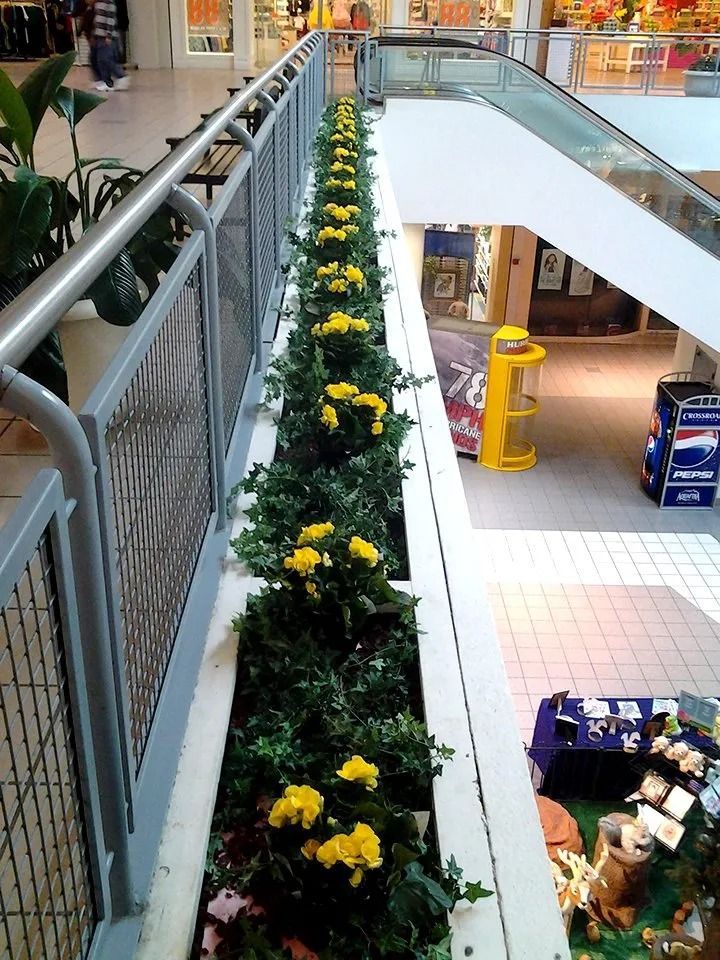Long planter with yellow flowers along an indoor mall balcony railing above a lower level