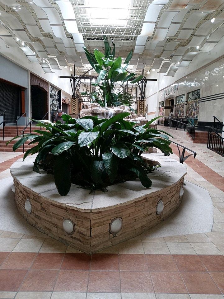 Indoor mall courtyard with a central planter of lush green plants under a bright patterned ceiling
