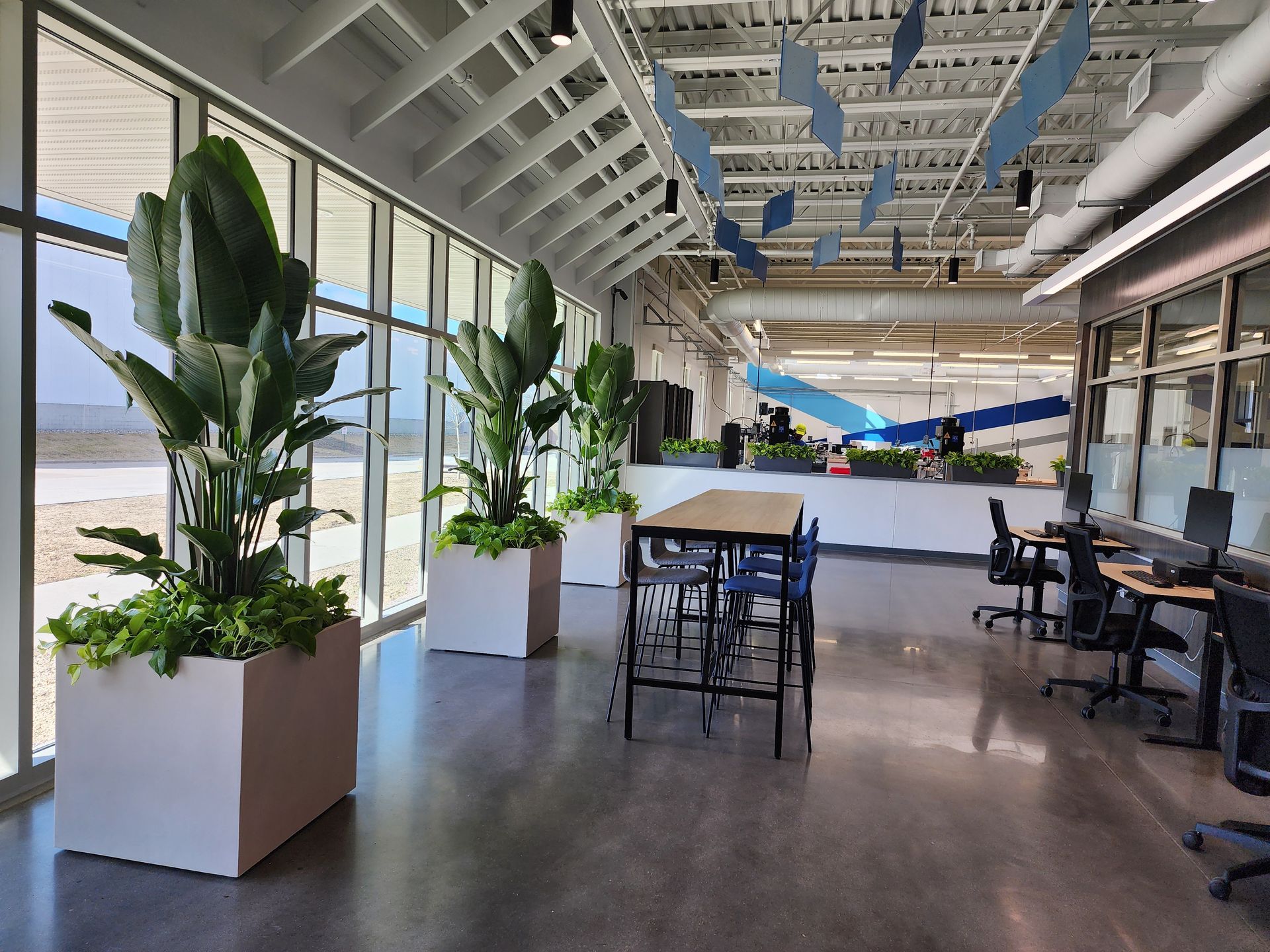 Bright, modern café with tall potted plants, high tables, chairs, and large windows overlooking outdoors.