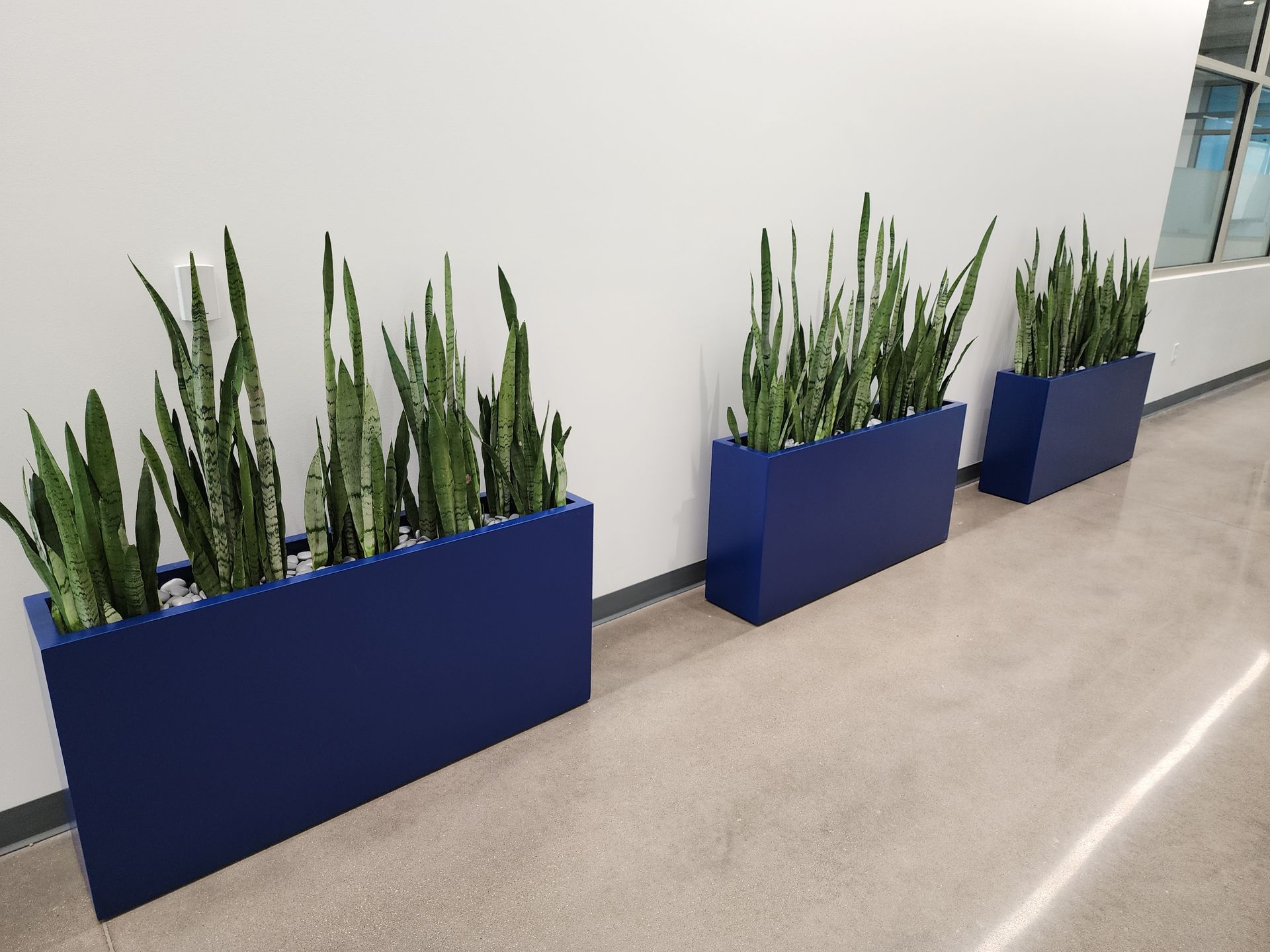 Fisher's Plant Service