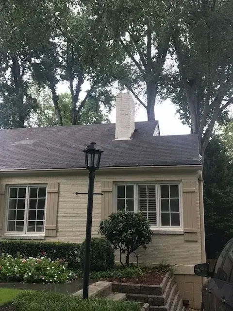 Single-story beige house with white shutters, brick steps, lamp post, and trees in front yard