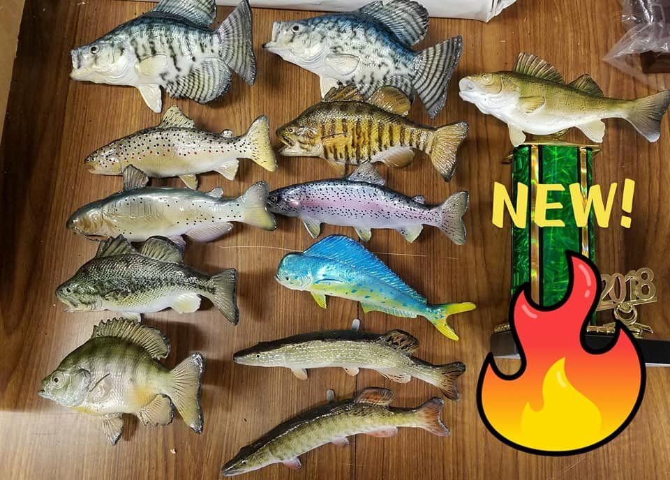 Trophy House gallery photo