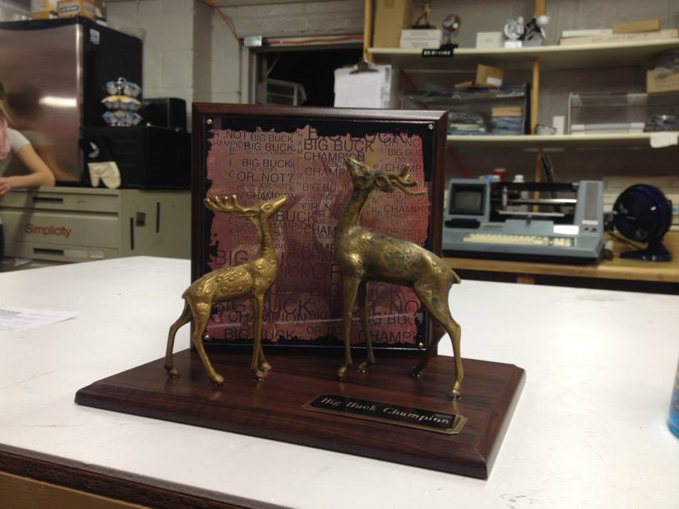 Trophy House gallery photo