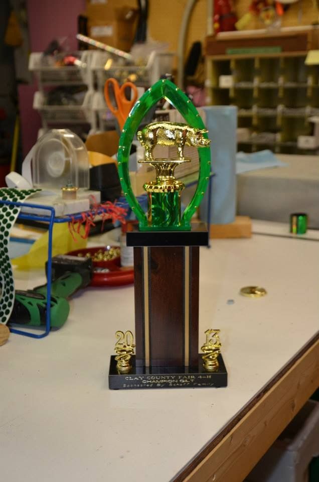 Trophy House gallery photo