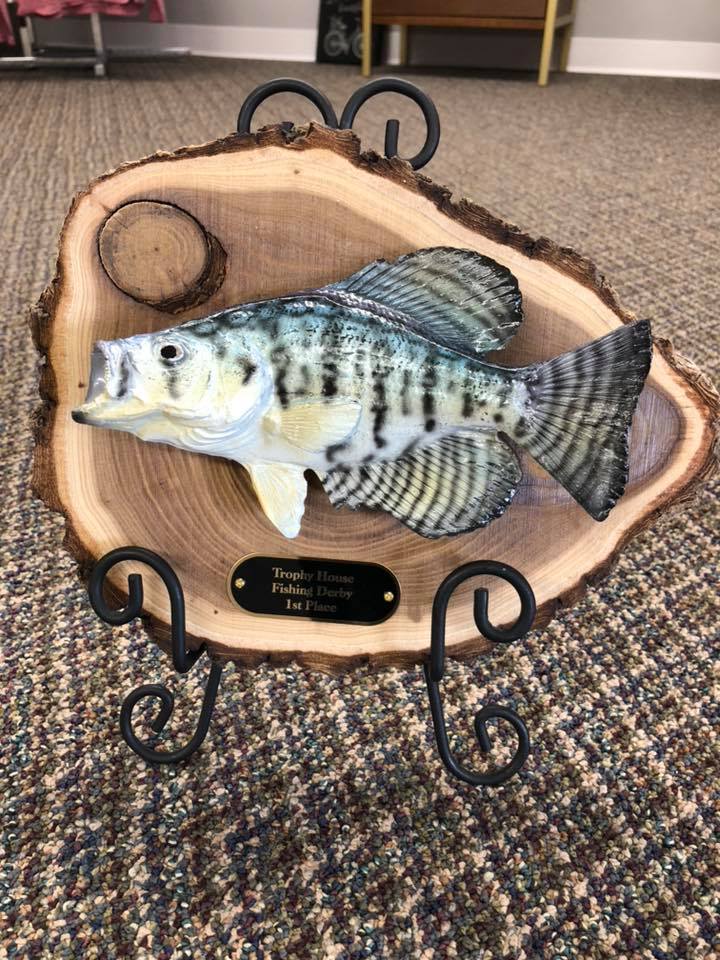 Trophy House gallery photo