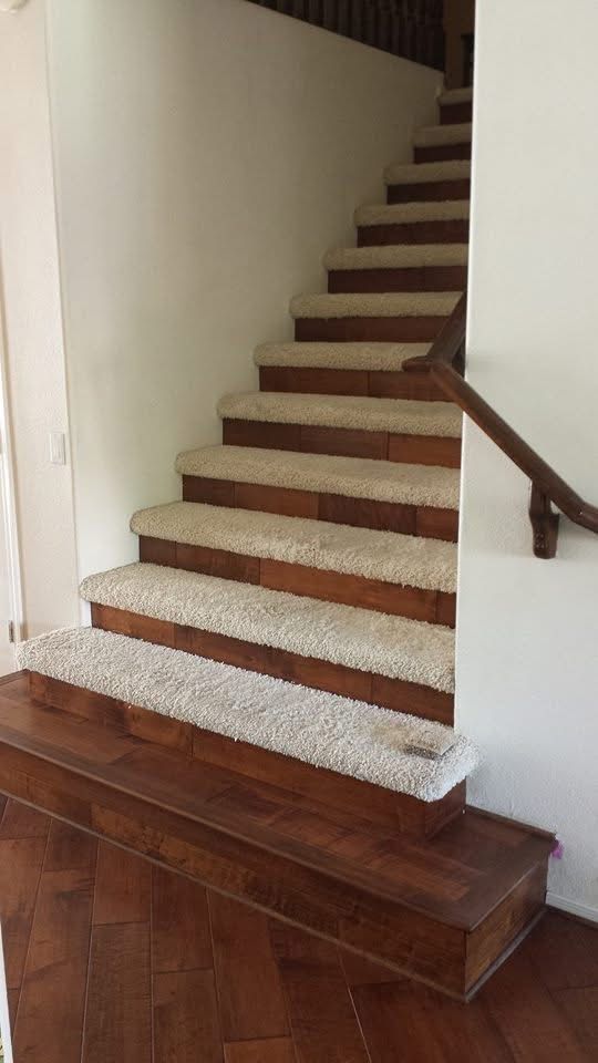 Staircase with carpeted steps and wooden trim leading upwards. Wooden flooring below, white walls.