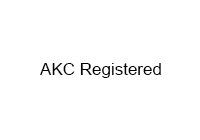 AKC Registered