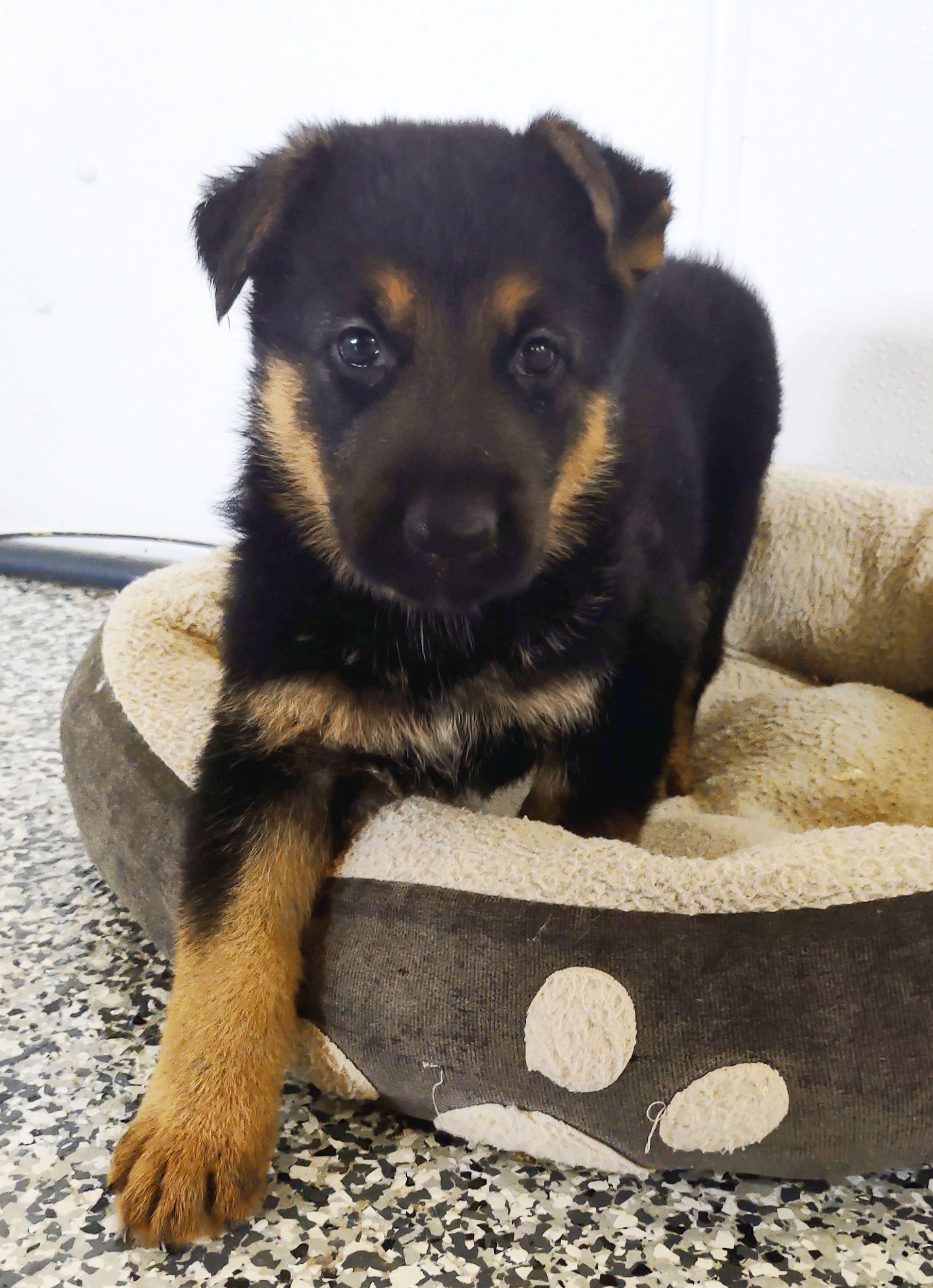 Jada leaning forward