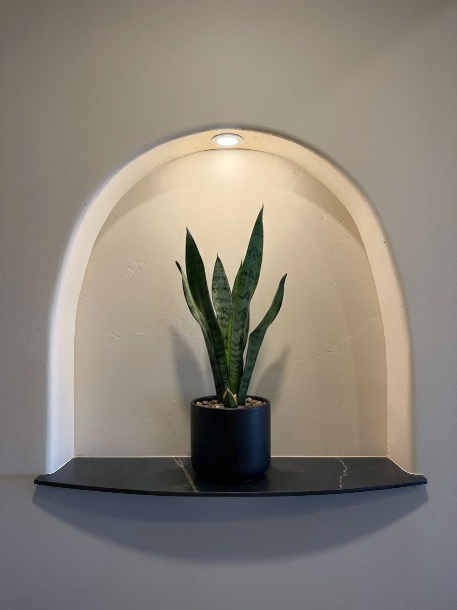 Small potted snake plant on a wall shelf in a recessed niche with soft overhead lighting