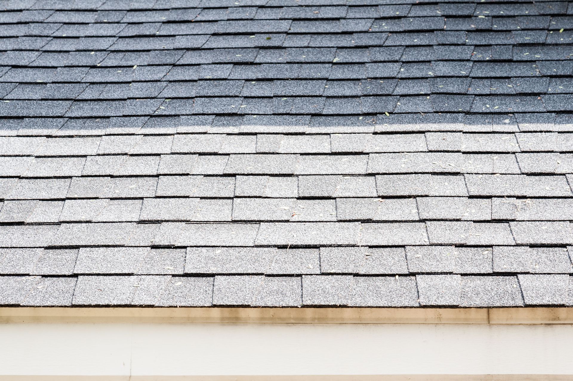 roofing contractor