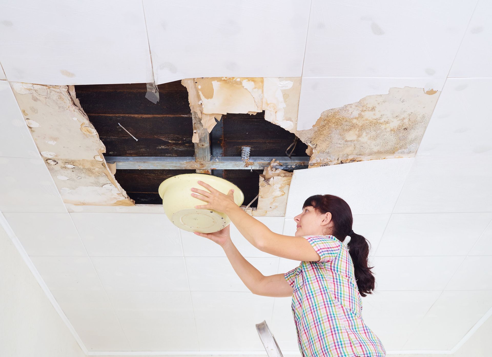 roofing company