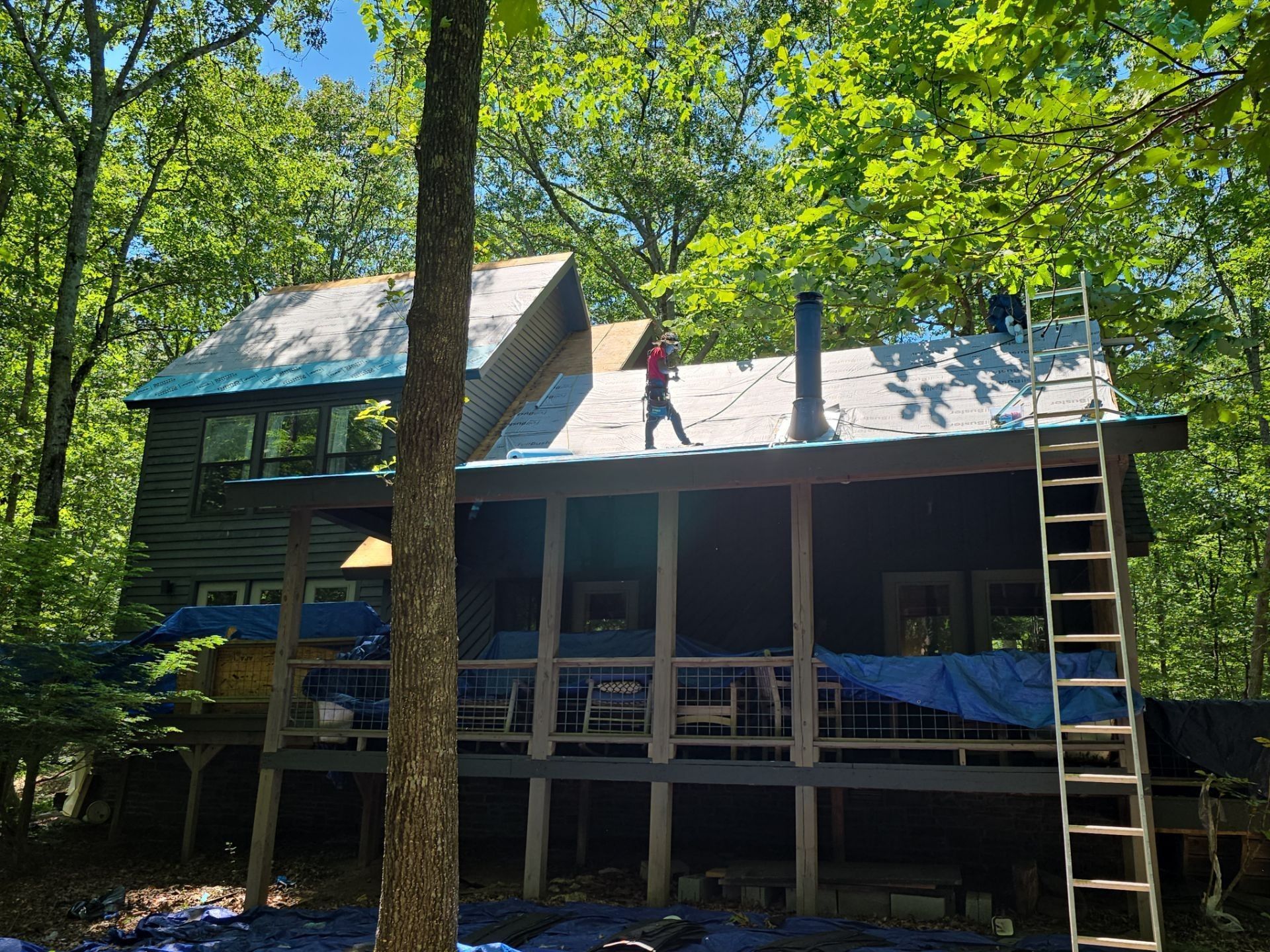 Roofers working on a house roof surrounded by trees; a ladder leans against the side.