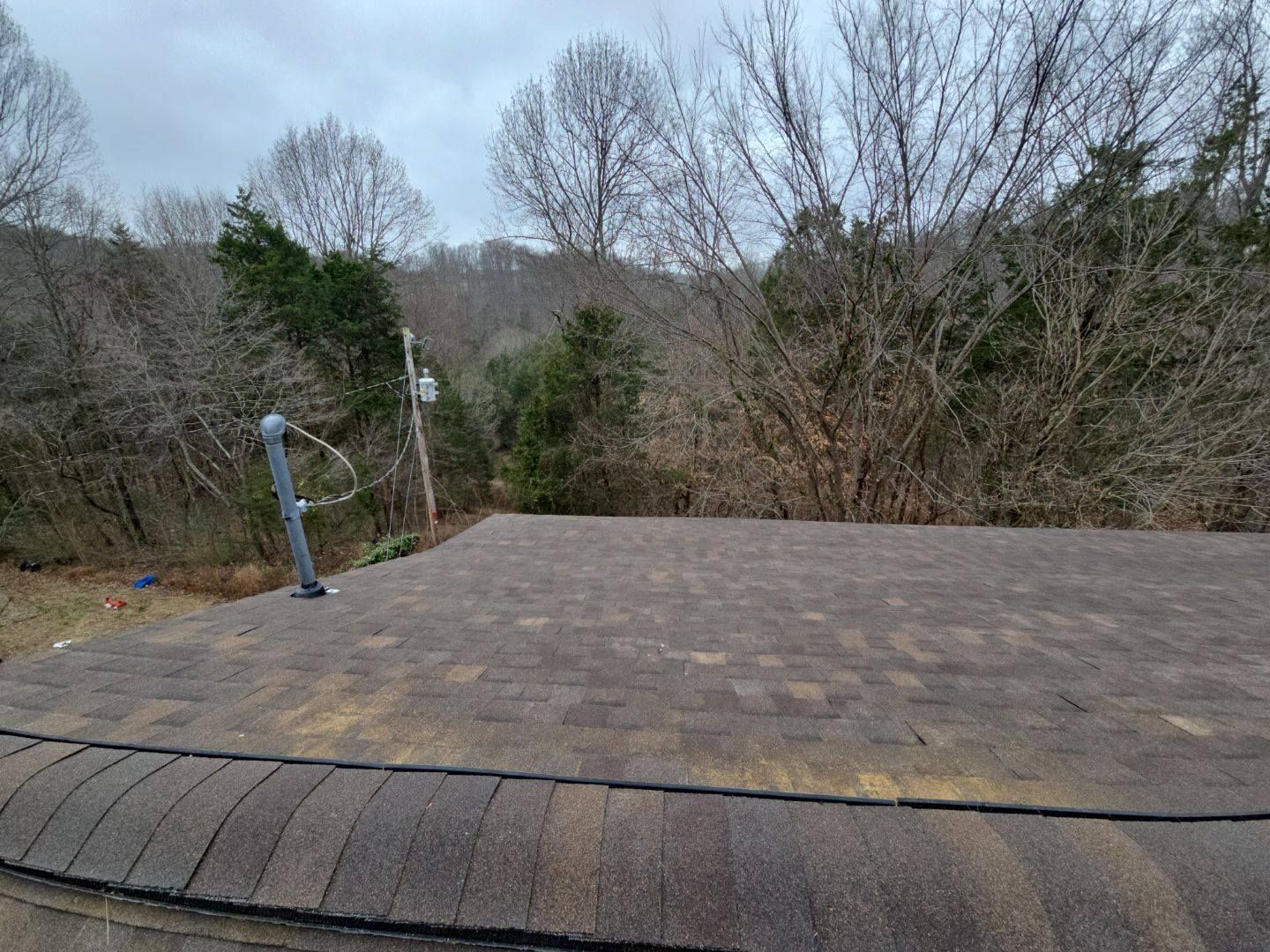 Brown shingled rooftop with a curved edge, in front of a wooded area and cloudy sky.